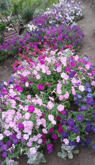 http://upforme.ru/uploads/001a/00/cb/14/t269818.jpg