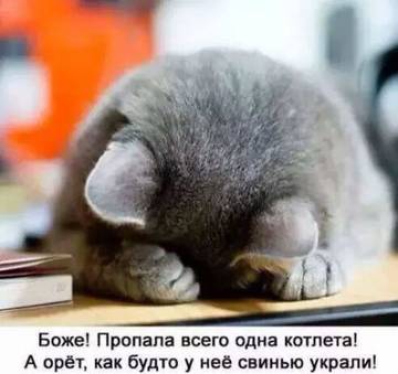 http://upforme.ru/uploads/001a/00/cb/14/t52484.jpg