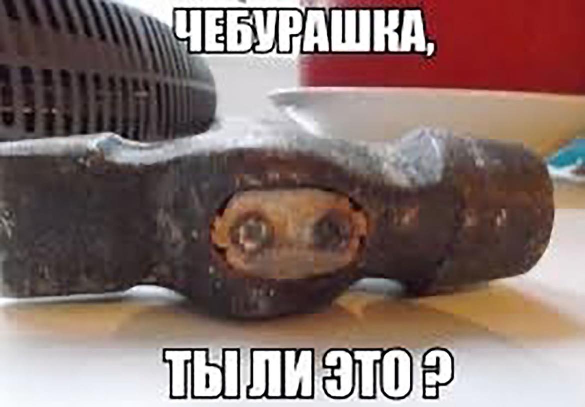 http://upforme.ru/uploads/001a/00/cb/20/199523.jpg