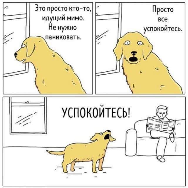 http://upforme.ru/uploads/001a/00/cb/20/442877.jpg