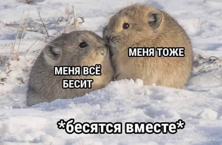 http://upforme.ru/uploads/001a/00/cb/20/88607.jpg
