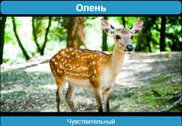 http://upforme.ru/uploads/001a/00/cb/20/t307179.png