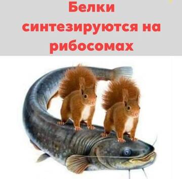 http://upforme.ru/uploads/001a/00/cb/20/t416124.jpg