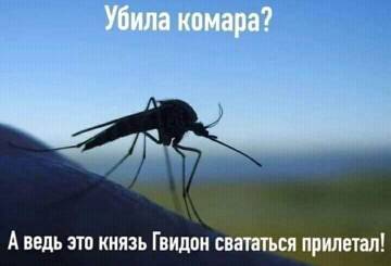 http://upforme.ru/uploads/001a/00/cb/20/t507035.jpg