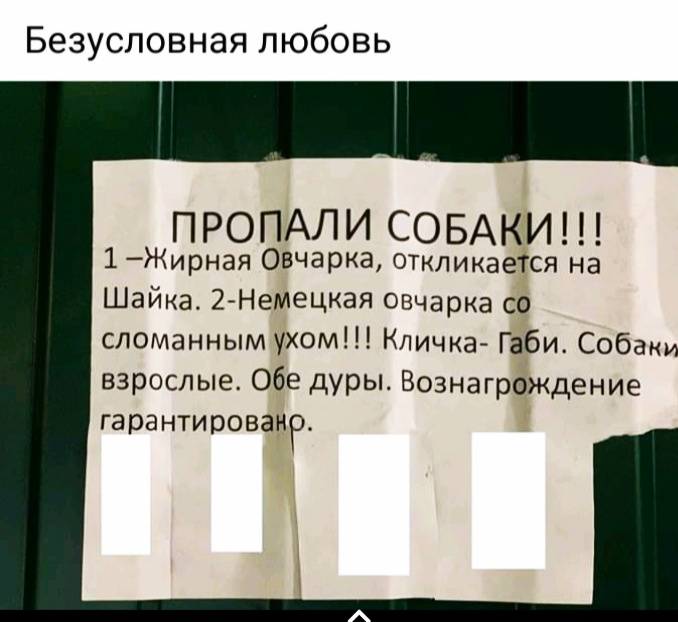 http://upforme.ru/uploads/001a/00/cb/21/42781.jpg