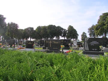 http://upforme.ru/uploads/001a/00/cb/232/t616679.jpg