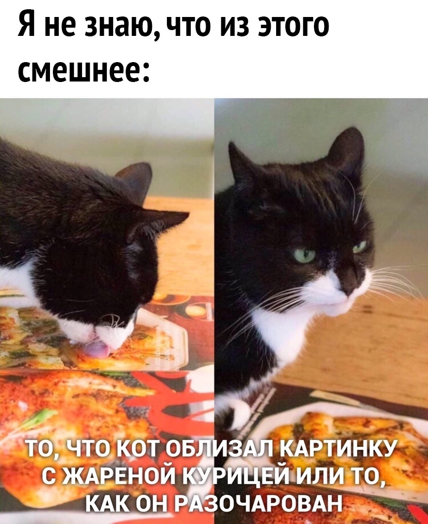 http://upforme.ru/uploads/001a/00/cb/337/36175.jpg