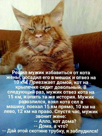 http://upforme.ru/uploads/001a/00/cb/37/t81139.jpg