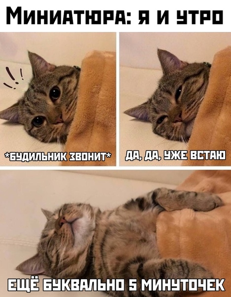 http://upforme.ru/uploads/001a/00/cb/4/t18189.jpg
