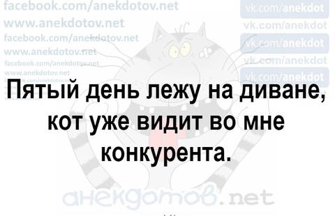 http://upforme.ru/uploads/001a/00/cb/40/t15286.jpg