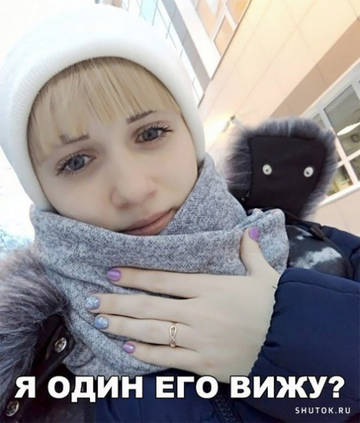 http://upforme.ru/uploads/001a/00/cb/40/t38440.jpg