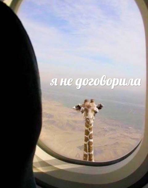 http://upforme.ru/uploads/001a/00/cb/40/t76708.jpg