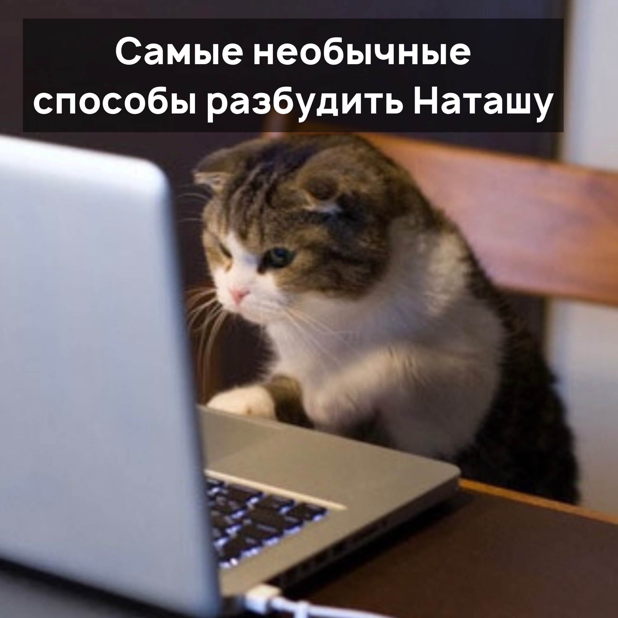 http://upforme.ru/uploads/001a/00/cb/54/515064.jpg