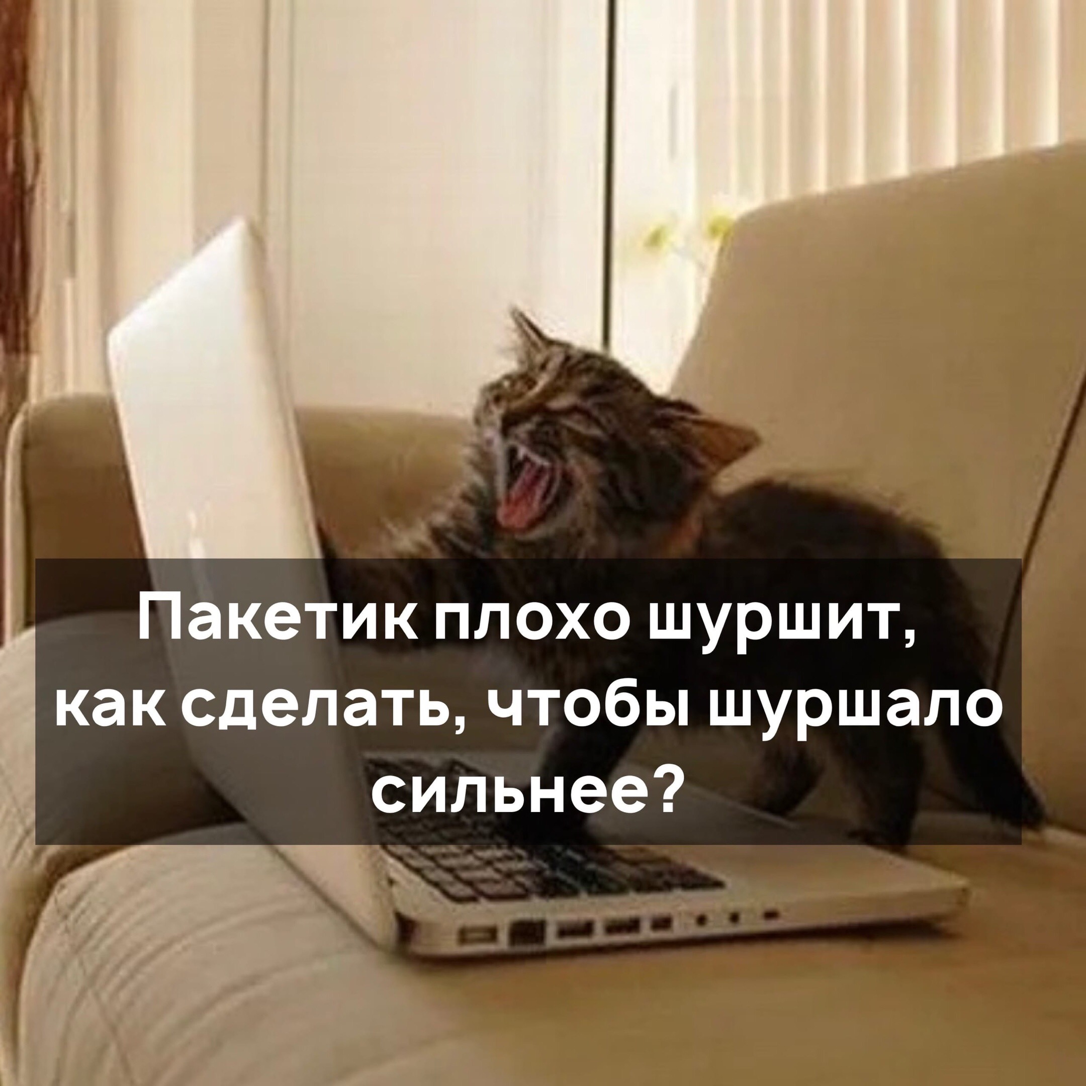 http://upforme.ru/uploads/001a/00/cb/54/710823.jpg