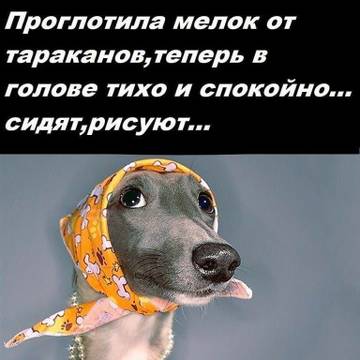 http://upforme.ru/uploads/001a/00/cb/57/t31711.jpg