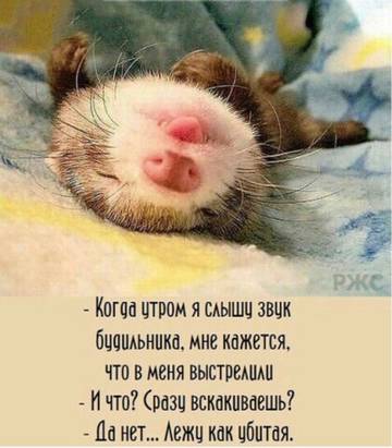 http://upforme.ru/uploads/001a/00/cb/57/t34928.jpg