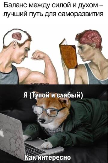 http://upforme.ru/uploads/001a/00/cb/64/t223513.jpg