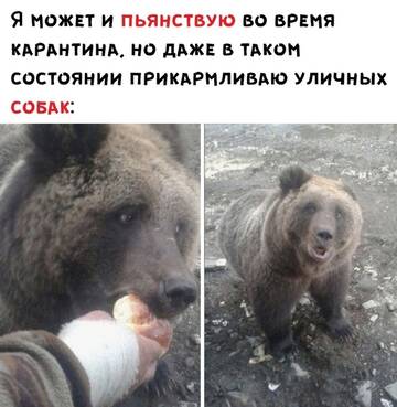 http://upforme.ru/uploads/001a/00/cb/64/t859174.jpg
