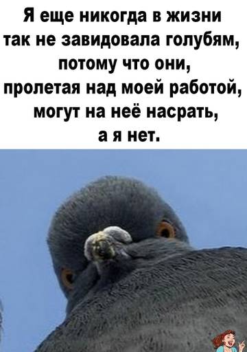 http://upforme.ru/uploads/001a/00/cb/64/t926653.jpg