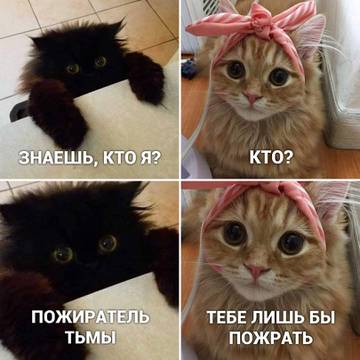 http://upforme.ru/uploads/001a/00/cb/8/t56970.jpg