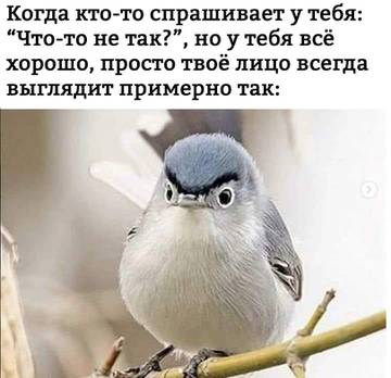 http://upforme.ru/uploads/001a/00/cb/8/t79119.jpg