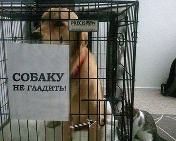 http://upforme.ru/uploads/001a/00/cb/92/t73783.jpg