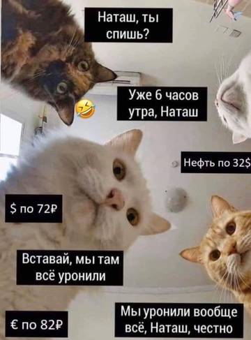 http://upforme.ru/uploads/001a/00/cb/92/t98680.jpg
