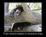 http://upforme.ru/uploads/001a/01/81/2/t264960.png
