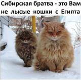 http://upforme.ru/uploads/001a/01/81/2/t332838.jpg