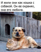 http://upforme.ru/uploads/001a/01/81/2/t639967.png