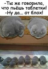 http://upforme.ru/uploads/001a/01/81/2/t641792.jpg