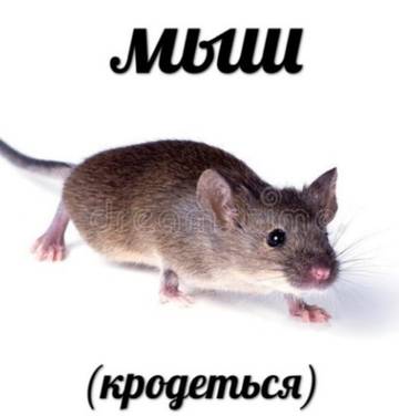 http://upforme.ru/uploads/001a/04/1e/2/t912758.jpg
