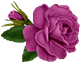http://upforme.ru/uploads/001a/04/99/2/t10734.png