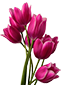 http://upforme.ru/uploads/001a/04/99/2/t21193.png