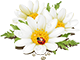 http://upforme.ru/uploads/001a/04/99/2/t32433.png