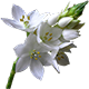 http://upforme.ru/uploads/001a/04/99/2/t68213.png