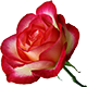 http://upforme.ru/uploads/001a/04/99/2/t94177.png