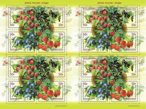 http://upforme.ru/uploads/001a/06/95/2/t14125.jpg