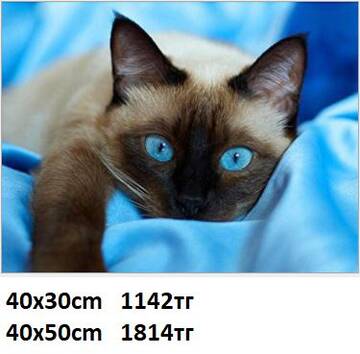 http://upforme.ru/uploads/001a/0a/fa/100/t384410.jpg