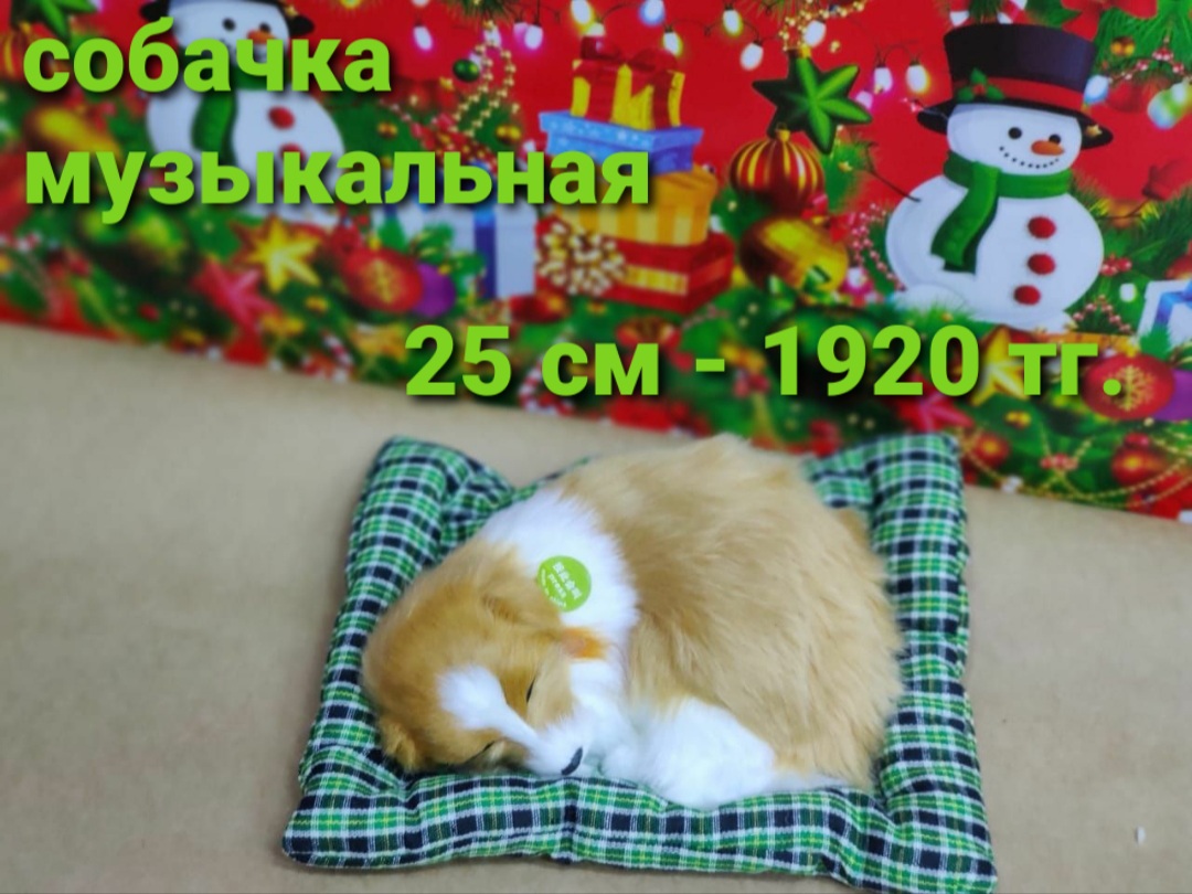 http://upforme.ru/uploads/001a/0a/fa/50/799101.jpg
