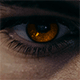 http://upforme.ru/uploads/001a/0d/f5/254/31197.gif