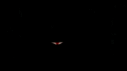http://upforme.ru/uploads/001a/0d/f5/255/374556.gif