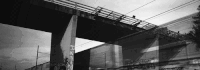 http://upforme.ru/uploads/001a/0d/f5/3/837478.gif