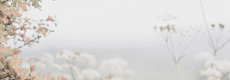 http://upforme.ru/uploads/001a/0d/f5/487/885056.gif