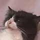 http://upforme.ru/uploads/001a/11/07/2/919729.png