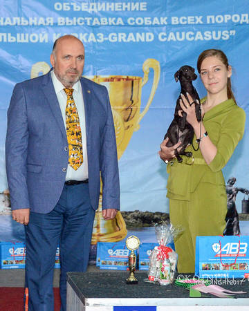 http://upforme.ru/uploads/001a/17/7e/4/t29403.jpg