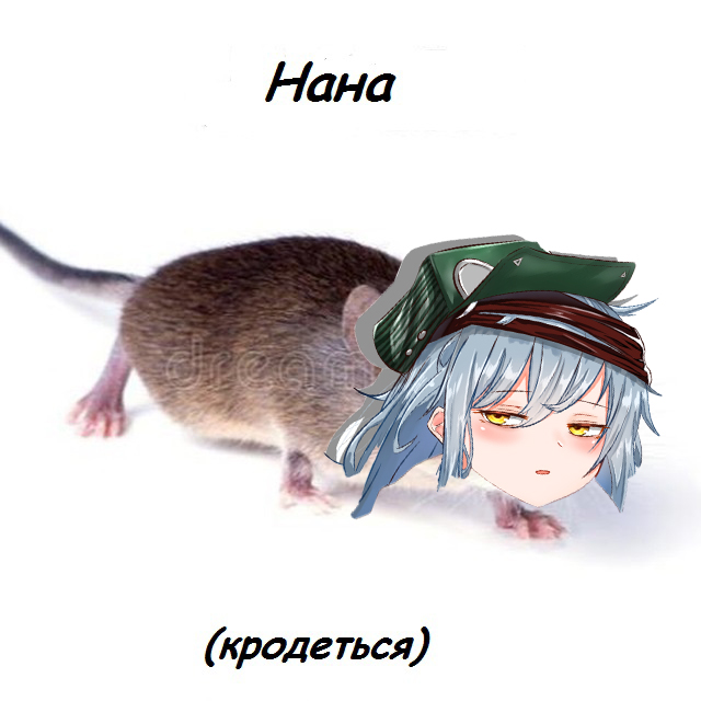 http://upforme.ru/uploads/001a/1d/50/25/66996.jpg