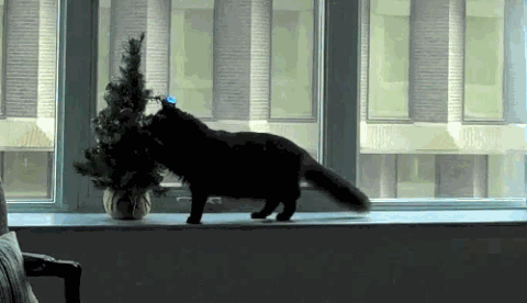 http://upforme.ru/uploads/001a/1d/50/44/45321.gif