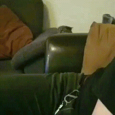 http://upforme.ru/uploads/001a/1d/50/44/61789.gif