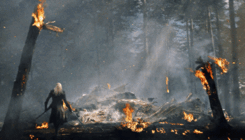 http://upforme.ru/uploads/001a/1e/d0/4/t46605.gif